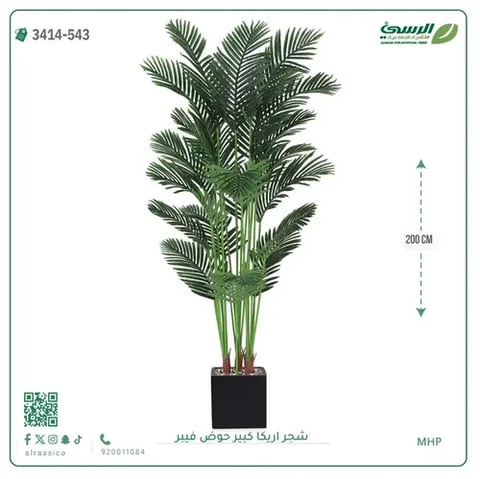 شجر أريكا صناعية ( ارتفاع 200 سم ) حوض فيبر