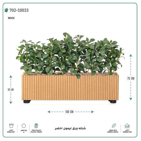 تنسيق شتلات ورق ليمون صناعية في مركن مستطيل (100 - 30 - 75 سم)