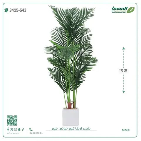 شجر أريكا صناعية ( ارتفاع 175 سم ) حوض فيبر