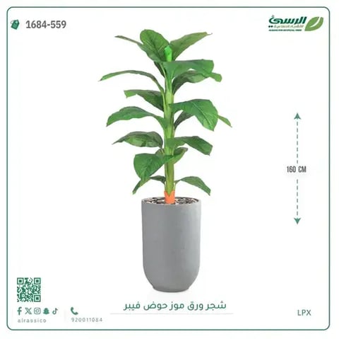 شجرة ورق موز صناعية ( ارتفاع 160 سم ) حوض فيبر