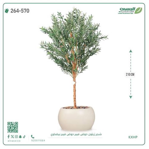 شجرة زيتون اصطناعية ( ارتفاع 210 سم ) حوض فيبر بيضاوي