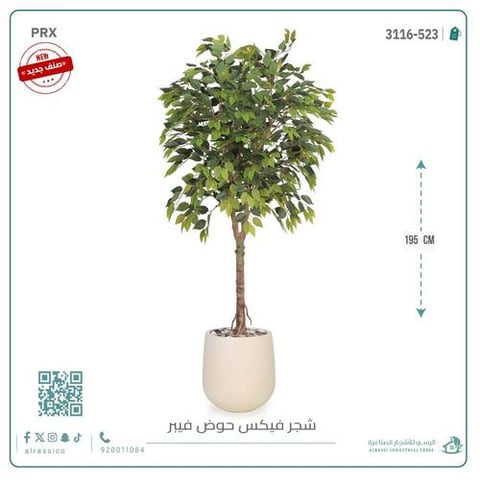 شجرة فيكس صناعيبارتفاع (195) بمركن فيبر