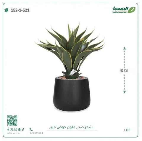 شجرة صبار صناعية ملونة ( ارتفاع 65 سم ) حوض فيبر