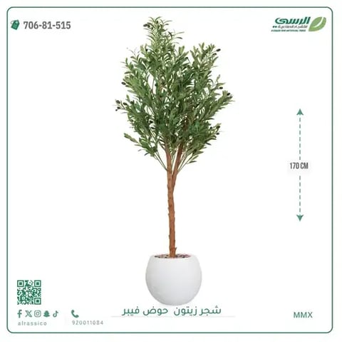 شجر زيتون صناعية ( ارتفاع 170 سم ) حوض فيبر