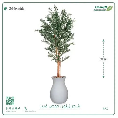 شجر زيتون صناعية ( ارتفاع 215 سم ) حوض فيبر