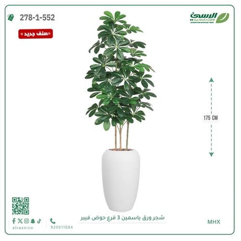 شجرة ورق ياسمين صناعية 3 فروع (ارتفاع 175 سم) حوض فيبر