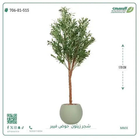 شجر زيتون صناعية ( ارتفاع 170 سم ) حوض فيبر
