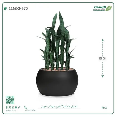 صبار صناعية ( ارتفاع 130 سم ) حوض فيبر
