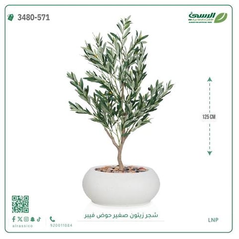 شجرة الزيتون الصناعية (ارتفاع 125 سم) حوض فيبر