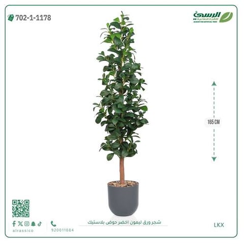 شجرة ورق ليمون صناعية خضراء (ارتفاع 165 سم) حوض بلاستيك