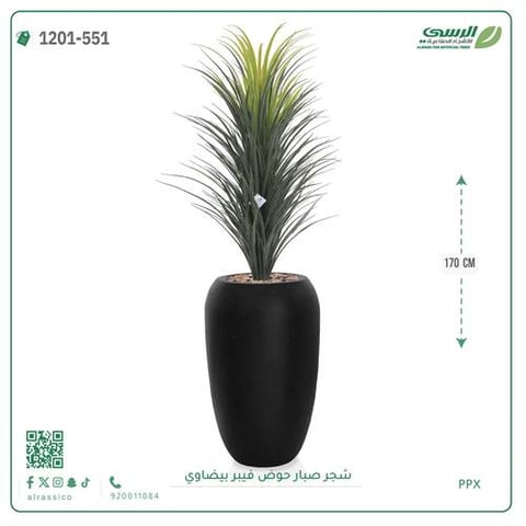 شجر صبار صناعية ( ارتفاع 170 سم ) حوض فيبر