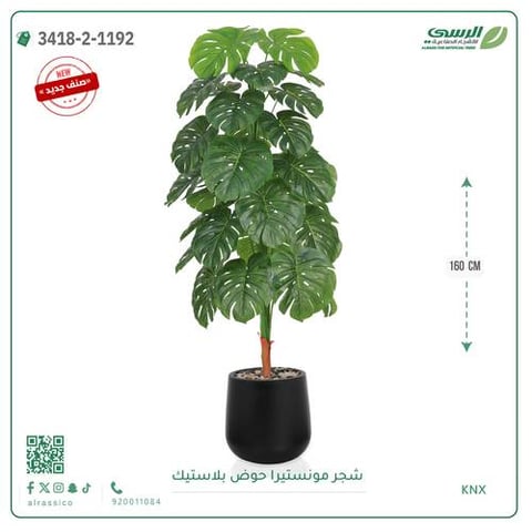 شجرة مونستيرا صناعية ( ارتفاع 160 سم ) حوض بلاستيك