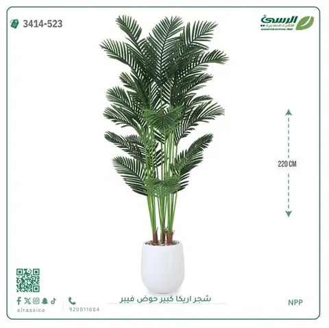 شجر أريكا صناعية ( ارتفاع 220 سم ) حوض فيبر