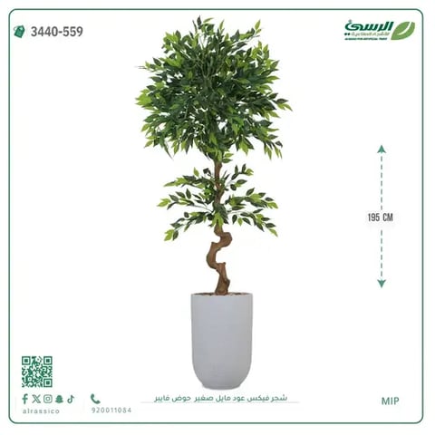 شجرة فيكس عود مائل صغيرة صناعية (ارتفاع 195 سم) حوض فيبر