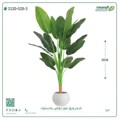 شجرة موز صناعية ( ارتفاع 200 سم ) حوض بلاستيك