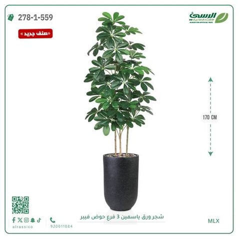 شجرة ورق ياسمين صناعية 3 فروع (ارتفاع 170 سم) حوض فيبر