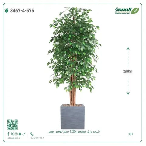 شجر فيكس صناعية (ارتفاع 220 سم) حوض فيبر