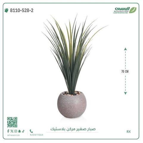 شجرة صبار صناعية ( ارتفاع 70 سم ) حوض بلاستك
