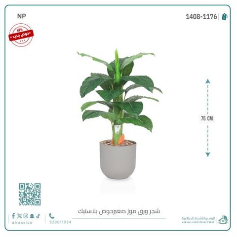  شجرة ورق موز صغير بمركن بلاستيك أسطواني