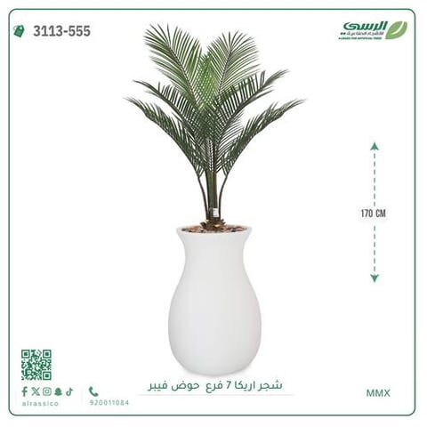 شجر أريكا (7 فروع) بارتفاع (160)بمركن فيبر على شكل زير 