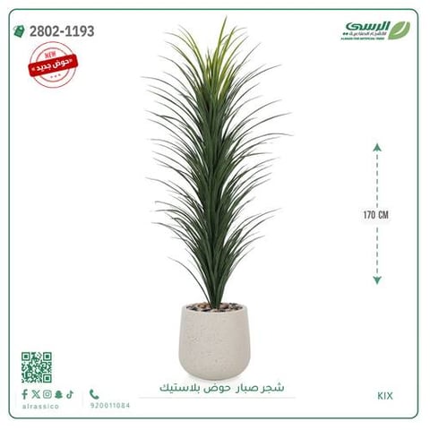 شجرة صبار اصطناعية ( ارتفاع 170 سم ) حوض بلاستيك