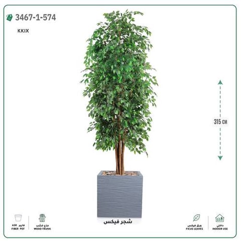 شجر فيكس صناعية (ارتفاع 315 سم) حوض فيبر جلاس مربع