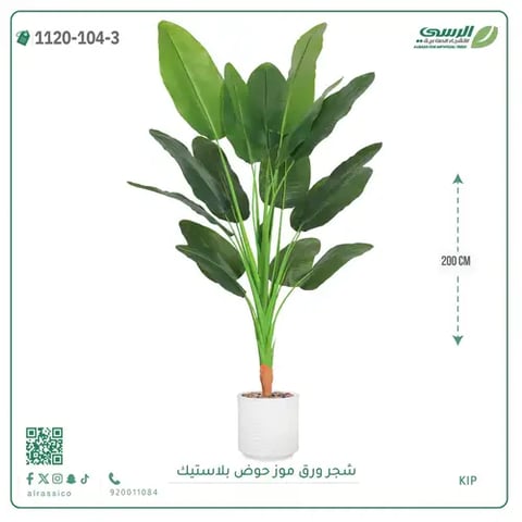 شجرة موز صناعية ( ارتفاع 200 سم ) حوض بلاستيك