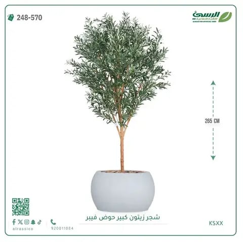 شجرة زيتون صناعية (ارتفاع 265 سم) بحوض فيبر