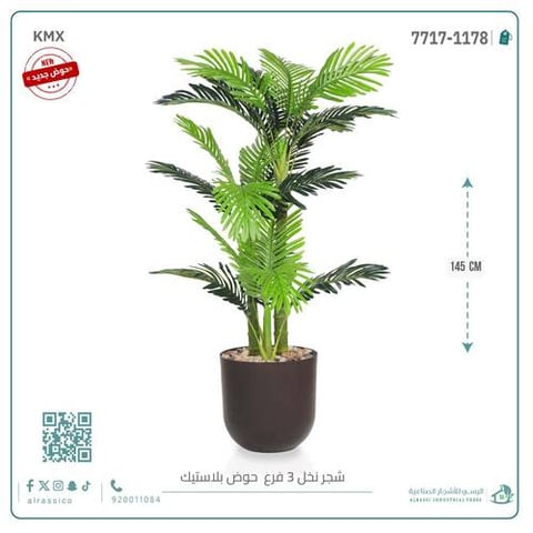 نخل أريكا صغير (3 فروع) بمركن بلاستيك أسطواني