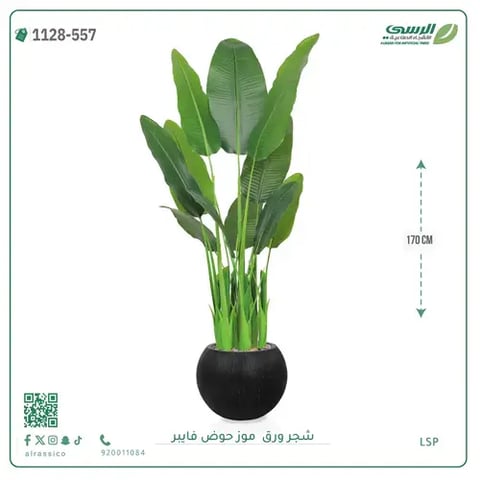 شجر موز صناعية ( ارتفاع 170 سم ) حوض فيبر