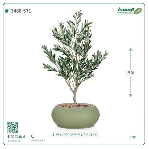شجرة الزيتون الصناعية (ارتفاع 125 سم) حوض فيبر