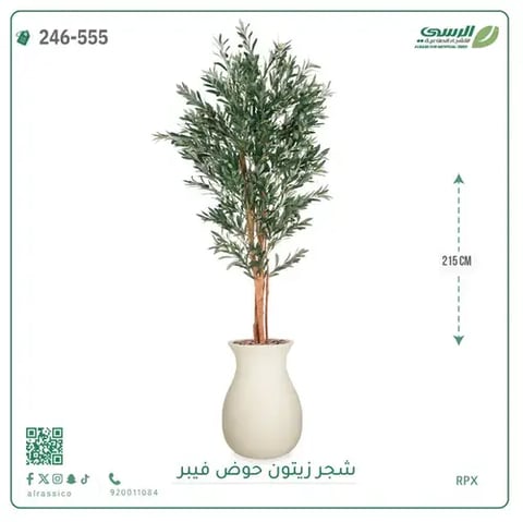 شجر زيتون صناعية ( ارتفاع 215 سم ) حوض فيبر