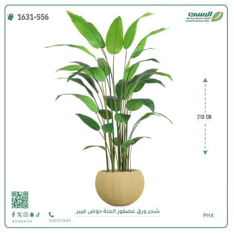 شجرة ورق عصفور الجنة صناعية ( ارتفاع 210 سم ) حوض فيبر مقلم