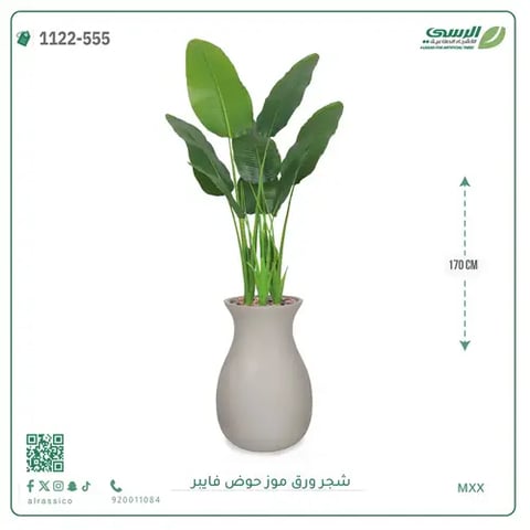 شجرة موز صناعية ( ارتفاع 170 سم ) حوض فيبر