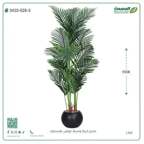 شجر أريكا صناعية ( ارتفاع 170 سم ) حوض بلاستك