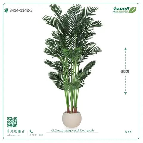 شجر أريكا صناعية ( ارتفاع 200 سم ) حوض بلاستك