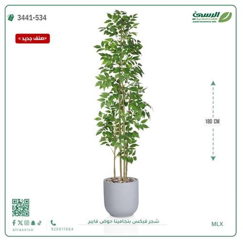 شجرة فيكس بنجامينا صناعية (ارتفاع 180 سم) حوض فيبر