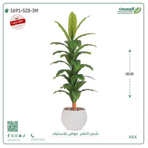 شجرة ورق أخضر كبير بمركن بلاستيك دائرى 