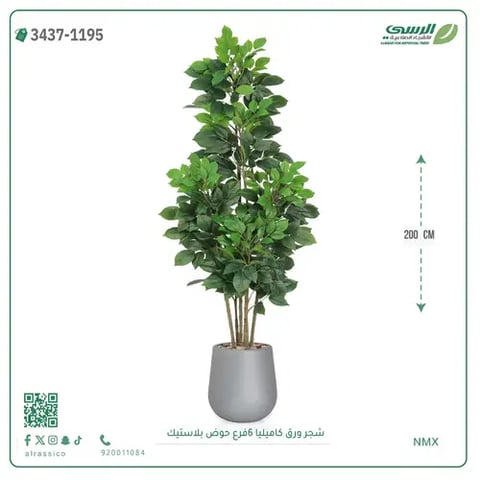 شجرة ورق كاميليا صناعية 6 فروع (ارتفاع 200 سم) حوض بلاستيك