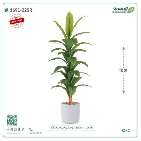 شجرة ورق أخضر وسط بمركن بلاستيك أسطواني