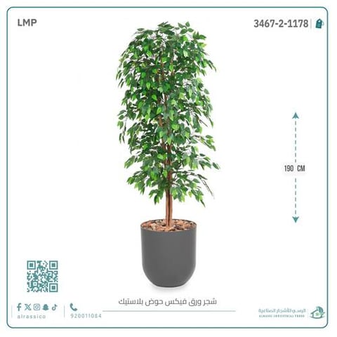 شجرة ورق فيكس اصطناعية بمركن بلاستيك أسطواني