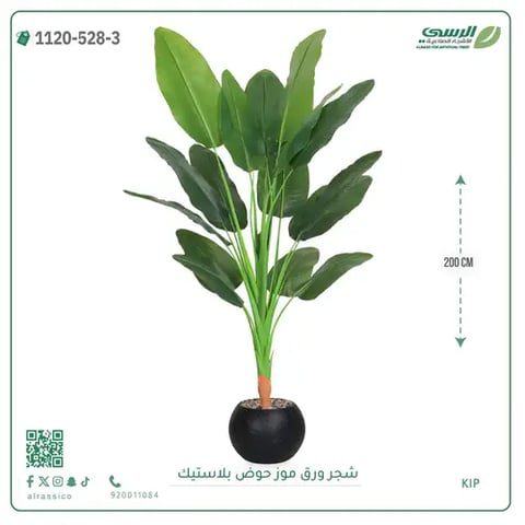 شجرة موز صناعية ( ارتفاع 200 سم ) حوض بلاستيك