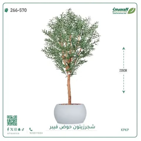  شجرة زيتون صناعية (ارتفاع 235 سم) بحوض فيبر