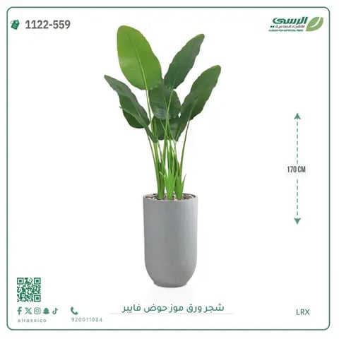 شجرة موز صناعية ( ارتفاع 170 سم ) حوض فيبر