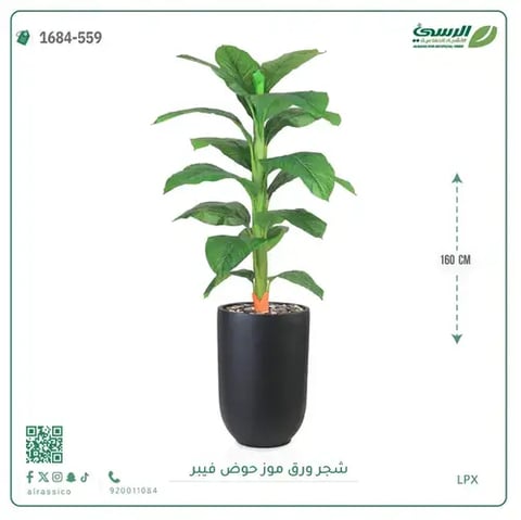 شجرة ورق موز صناعية ( ارتفاع 160 سم ) حوض فيبر