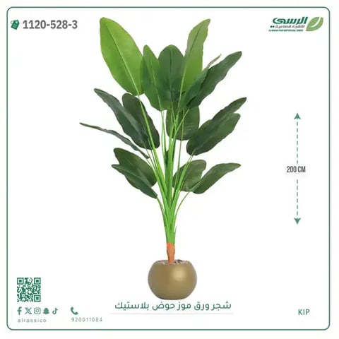 شجرة موز صناعية ( ارتفاع 200 سم ) حوض بلاستيك