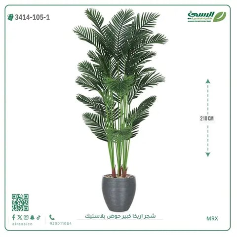 شجر أريكا صناعية ( ارتفاع 210 سم ) حوض بلاستك