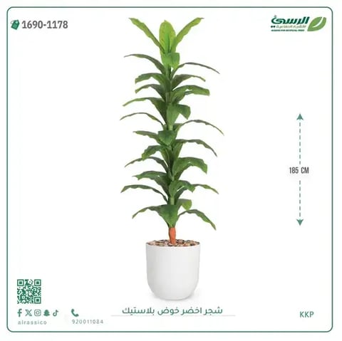 شجرة ذرة صناعية (ارتفاع 185 سم) حوض بلاستيك