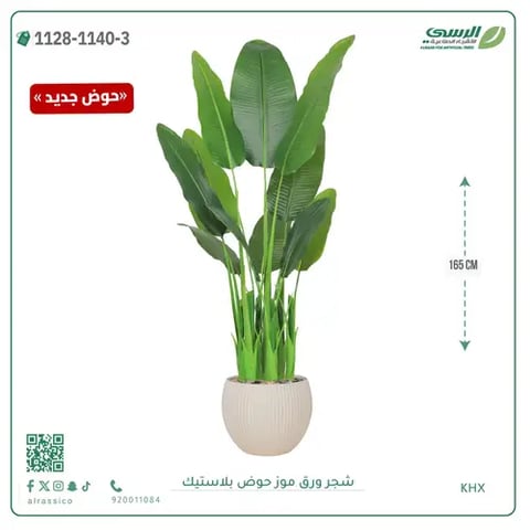 شجرة موز صناعية ( ارتفاع 165 سم ) حوض بلاستيك