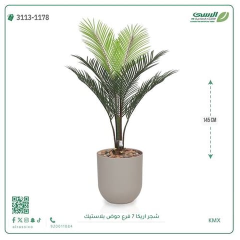 شجر أريكا (7 فروع) بمركن بلاستيك أسطواني